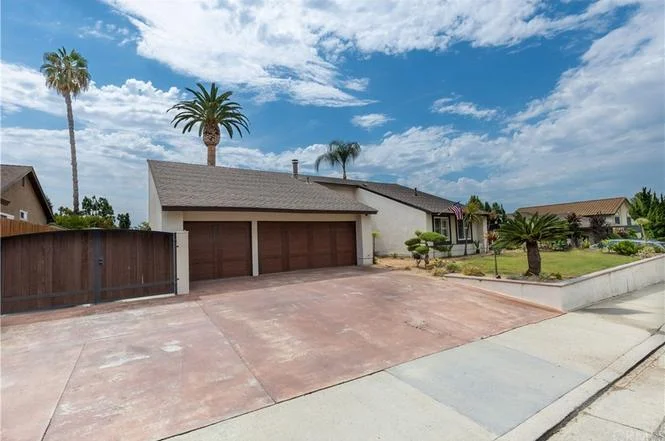 real estate house with large driveway and palm trees in front yard