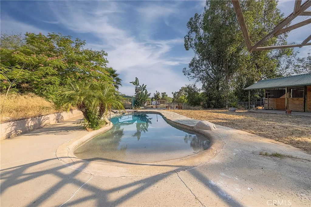 Swimming pool with overgrown plants, trees, and a structure in the background.
