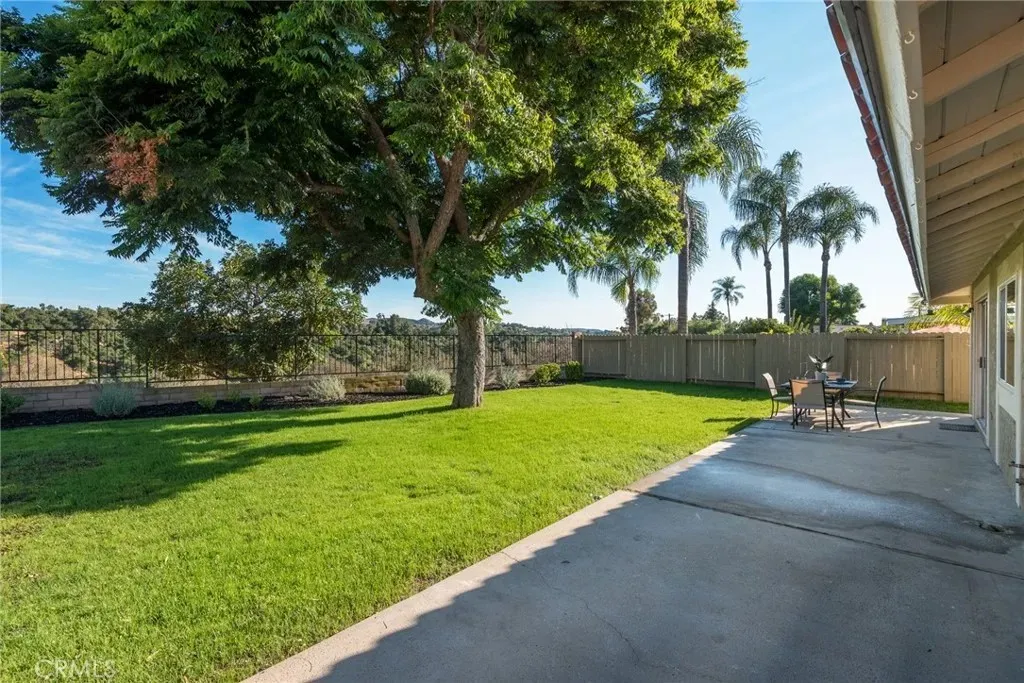 backyard with green grass, large tree, patio with table and chairs, and palm trees in background
