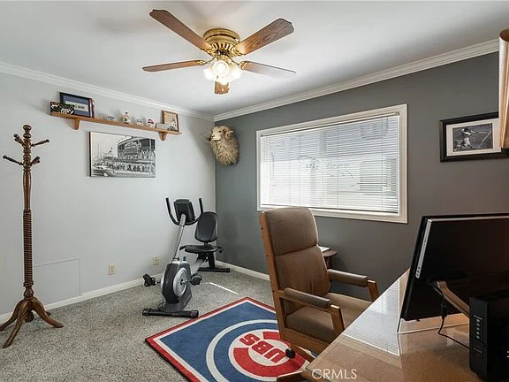 Home office and workout room with exercise bike, desk, chair, ceiling fan, and carpet
