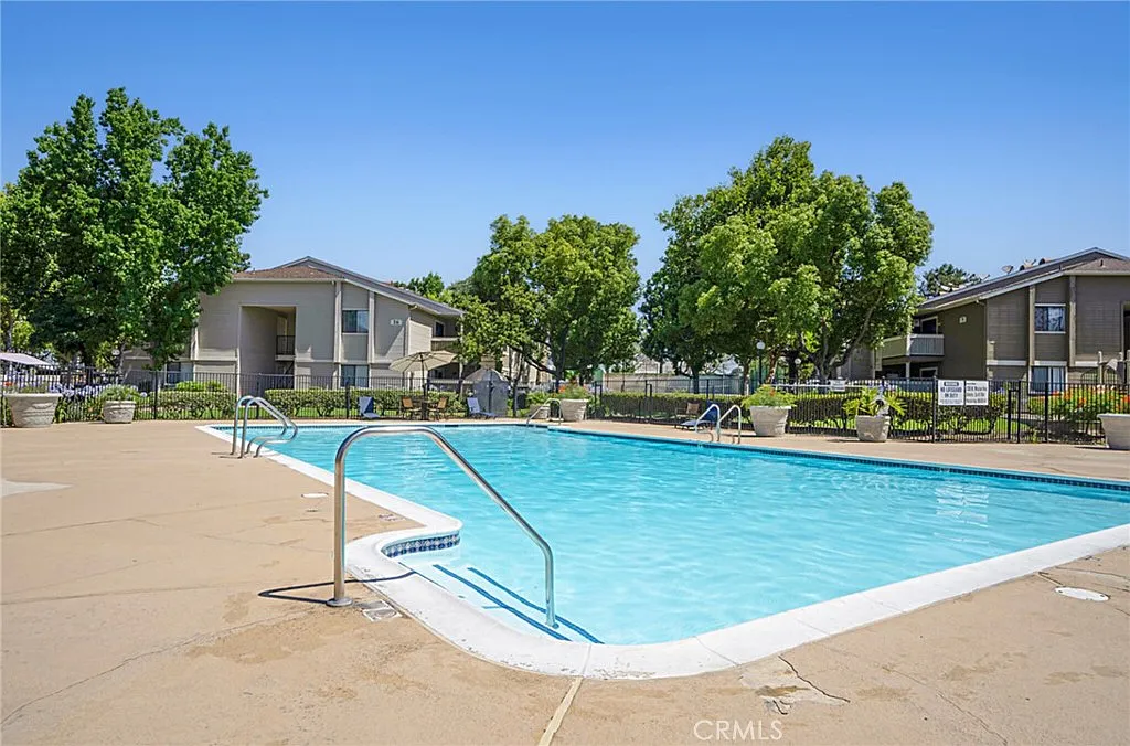 Clear swimming pool surrounded by trees and apartment buildings on sunny day