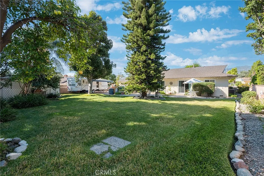Luxury backyard with green lawn, tall tree, and house in background, California real estate