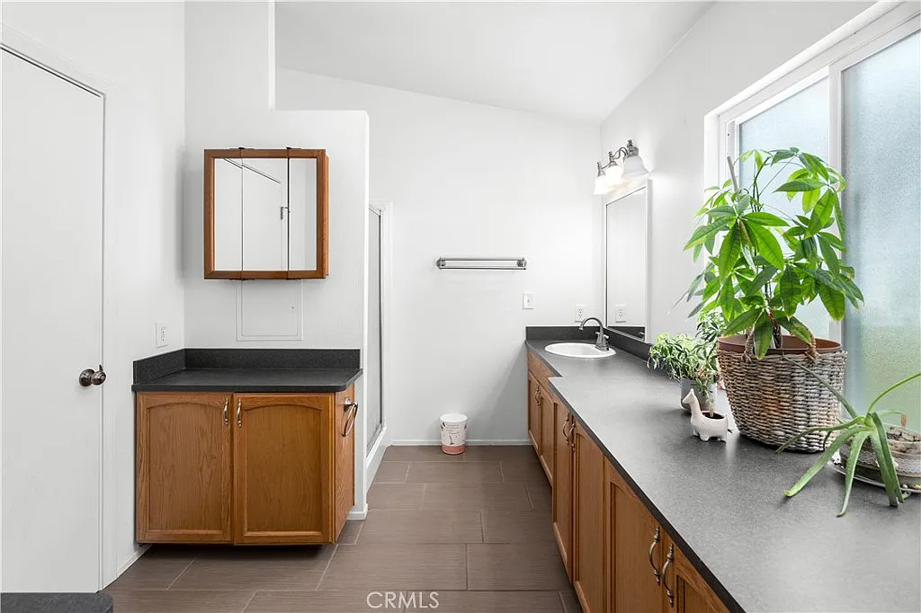 Bathroom with double vanity, dark countertops, wooden cabinets, mirror, potted plant, and large window with natural light.