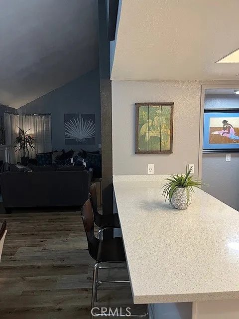 Kitchen counter with a small potted plant, overlooking a living area with a dark couch and wall artwork.