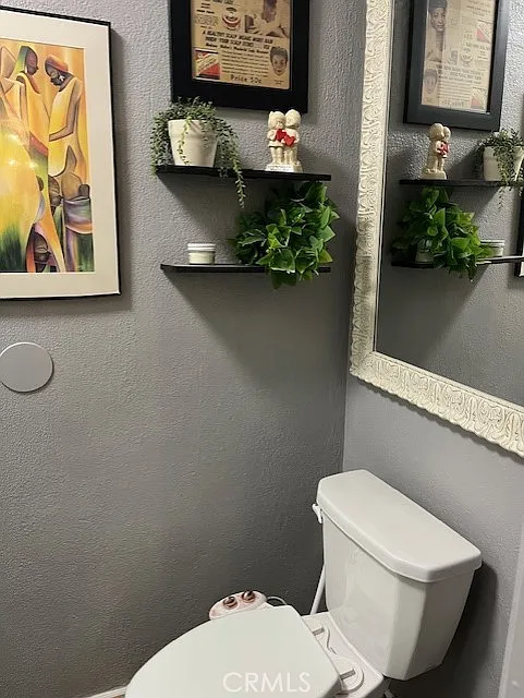 Bathroom with a toilet, wall shelves with plants, framed art on the walls, and a large mirror.