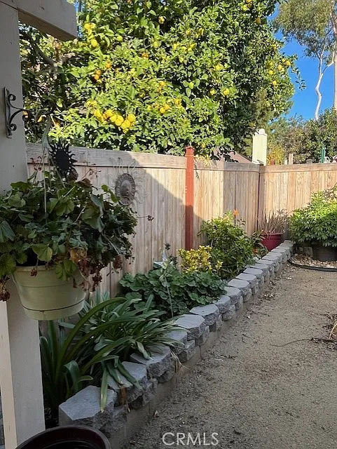 garden path with stone, leading to a wooden fence with greenery and orange trees in the background.