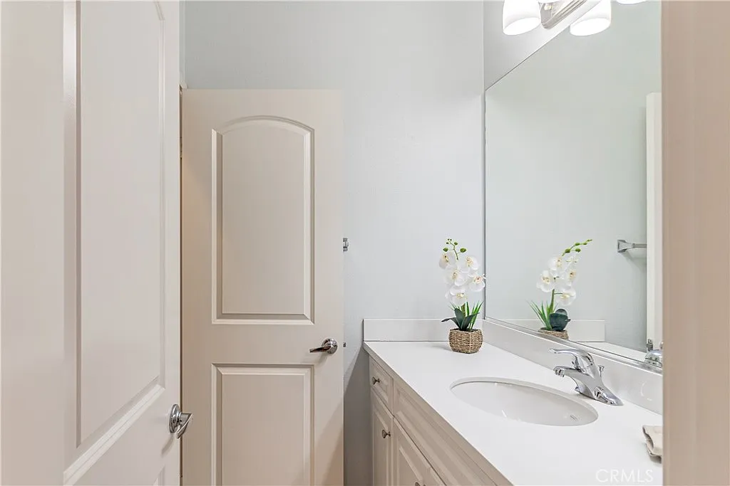 Bathroom with closed door, white sink, mirror, and small potted plant on countertop.