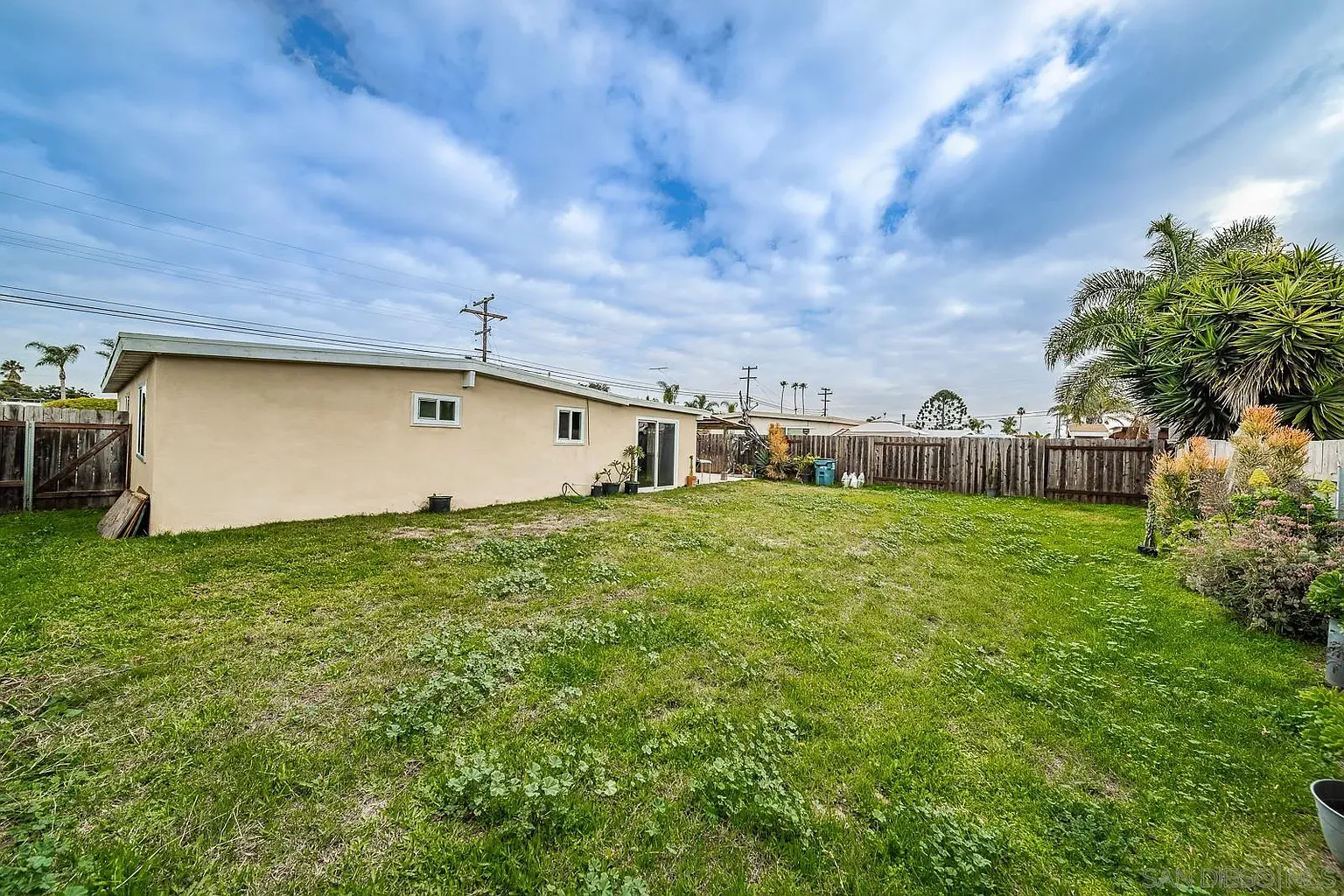 Backyard with grass, single-story house real estate, fence, and palm trees.
